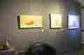 Galleria Web Art